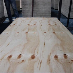 Contreplaqué de pin CDX de qualité construction